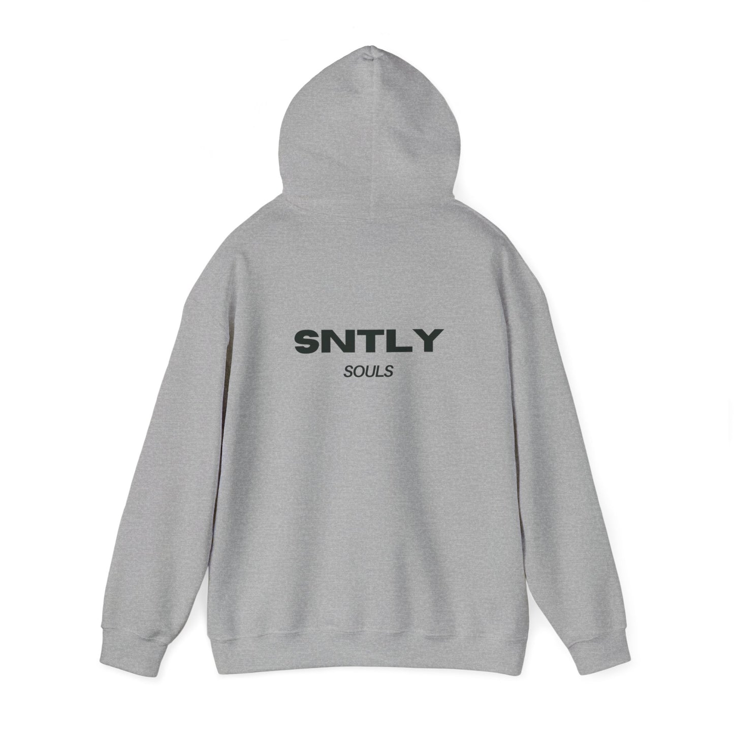 EHFAR Hoodie